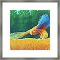 With These Wings Framed Print