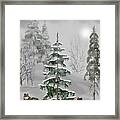 Wolves In The Winter Forest Color Framed Print