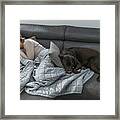 Woman Asleep On Sofa With Pet Dog Framed Print
