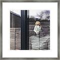 Woman With Mask Looking Out Of Window Framed Print