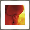 Womb Series #7 Framed Print