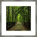 Wooded Path Framed Print
