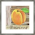 Wooden Crate With Organic Apricot Farmers Market Watercolor Framed Print