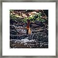 Wooden Mill Driven By A  River Framed Print