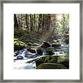 Woodland Falls Framed Print