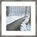 Cold Winter Path Framed Print