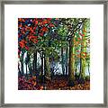 Woodland Trail Framed Print