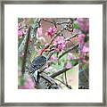 Woodpecker Floral Framed Print