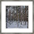 Woods In Snow Framed Print