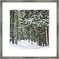 Woods In Winter Framed Print