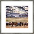 Wyoming Ranch Horses Framed Print