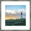 Yaquina Head Lighthouse At Sunset Framed Print