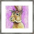 Year Of The Rabbit Framed Print