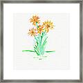 Yellow Blooms Framed Print