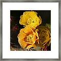 Yellow Cactus Flowers Framed Print