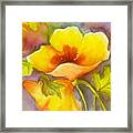Yellow Delight Flower Framed Print