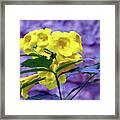 Yellow Flower Framed Print