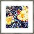 Yellow Flowers And My Cat Abstract Framed Print