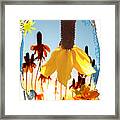 Yellow Mexican Hat Summer Flower Collage Framed Print