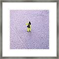 Yellow Spot Framed Print