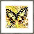 Yellow Swallowtail Rapture Framed Print