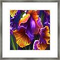 Yellow Wings 2 Framed Print