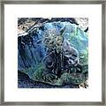 Yoda On A Rock Framed Print