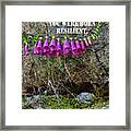 You Were Born Resilient Framed Print