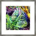 Young Pines And Old Maple 1938 By Emily Carr Framed Print
