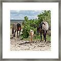 Young Prince And Family Framed Print