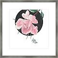 Young Rose Framed Print