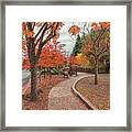 Yountville In Autumn Framed Print