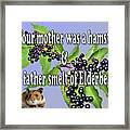 Your Mother Was A Hamster....... Framed Print