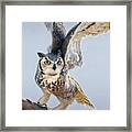 Your Time Will Come - Great Horned Owl Framed Print