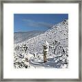 Yucca In The Snow Framed Print