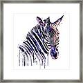 Zebra Head Framed Print