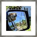 Zen Doggo Framed Print
