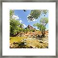 Zion National Park - Virgina River Framed Print