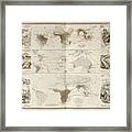Zoological Geography Birds Of The World Primates Pachydrms Marsupials Framed Print