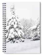 Winter Landscape Spiral Notebook