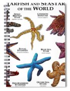 Starfish and Seastars of the World by rogerdhall on DeviantArt
