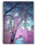 the pink trance notebooks