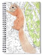Squirrel On A Tree Paper Kit – World of Mirth