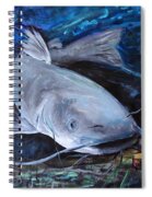 The Catfish And The Crawdad Spiral Notebook