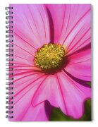 Pink Flower - Tote Bag Product by Matthias Zegveld