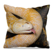 White Worm Lizard Amphisbaena Alba #3 Throw Pillow White Worm Lizard Amphisbaena Alba #3 Throw Pillow