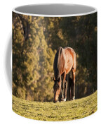 Grazing Horse At Sunset Coffee Mug by Michelle Wrighton