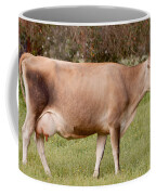 Jersey Cow In Pasture Coffee Mug
