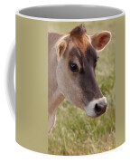 Jersey Cow Portrait Coffee Mug