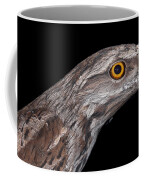 Tawny Frogmouth Coffee Mug